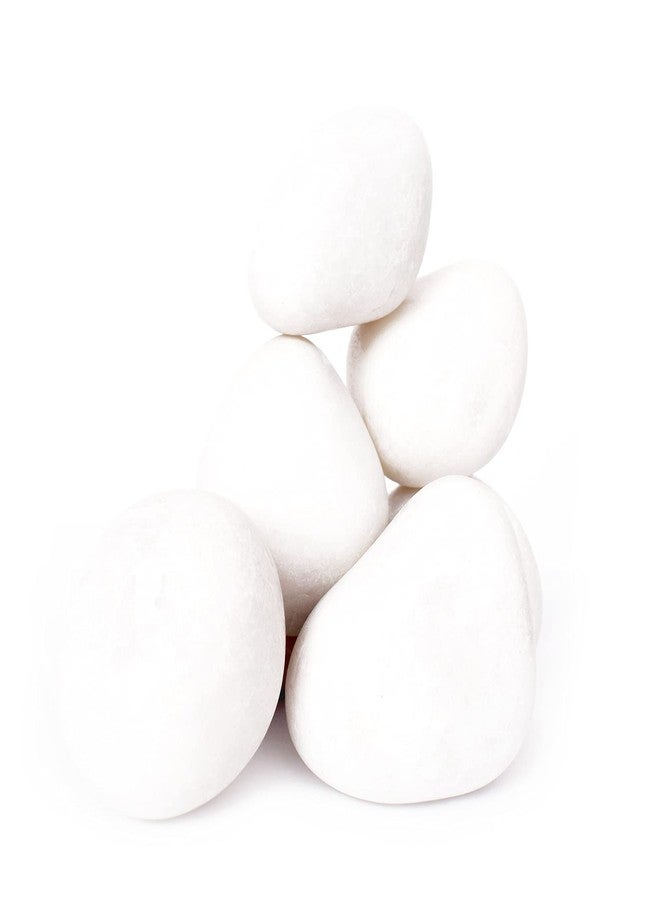 Ercole® Decorative Coloured Large Size Marble Stone Pebbles for Vase Filler Plant Pots Home Aquarium Fish Tanks Landscape Outdoor Garden Decoration (White, 1Kg) - Image 4